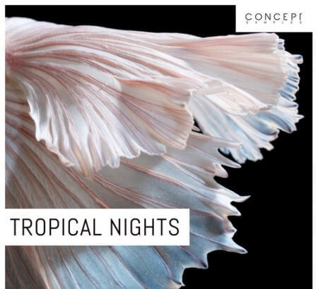 Concept Samples Tropical Nights WAV